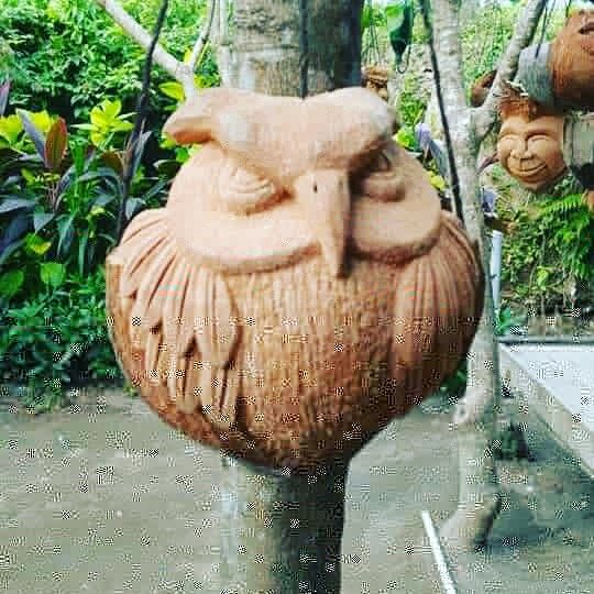 temanparta's tweet photo. "Semalam sampai di Jakarta, saya juga bawa titipan UKM (Usaha Kecil Mikro) hiasan @pot_pompong_bali [IG] atau batok kelapa. Mudah-mudahan bisa bantu promo dengan para kolega" #nyomanpartash #komisi6dprri @DPR_RI #ukmbali @PDI_Perjuangan @PDIP_Bali #temanparta #ukm #potbungaunik https://t.co/jnUgPJiS1A