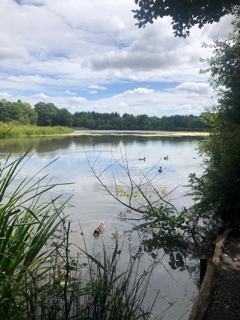 kitsonboyce_'s tweet photo. Alice Darch, a #solicitor in our #Propertyteam and her lovely mum, have started their 10 mile #sleepwalk to raise funds for the amazing @RowcroftHospice today! Good luck and well done ladies 😊🥰🚶‍♀️👭#charity https://t.co/JQQa4IQLSF