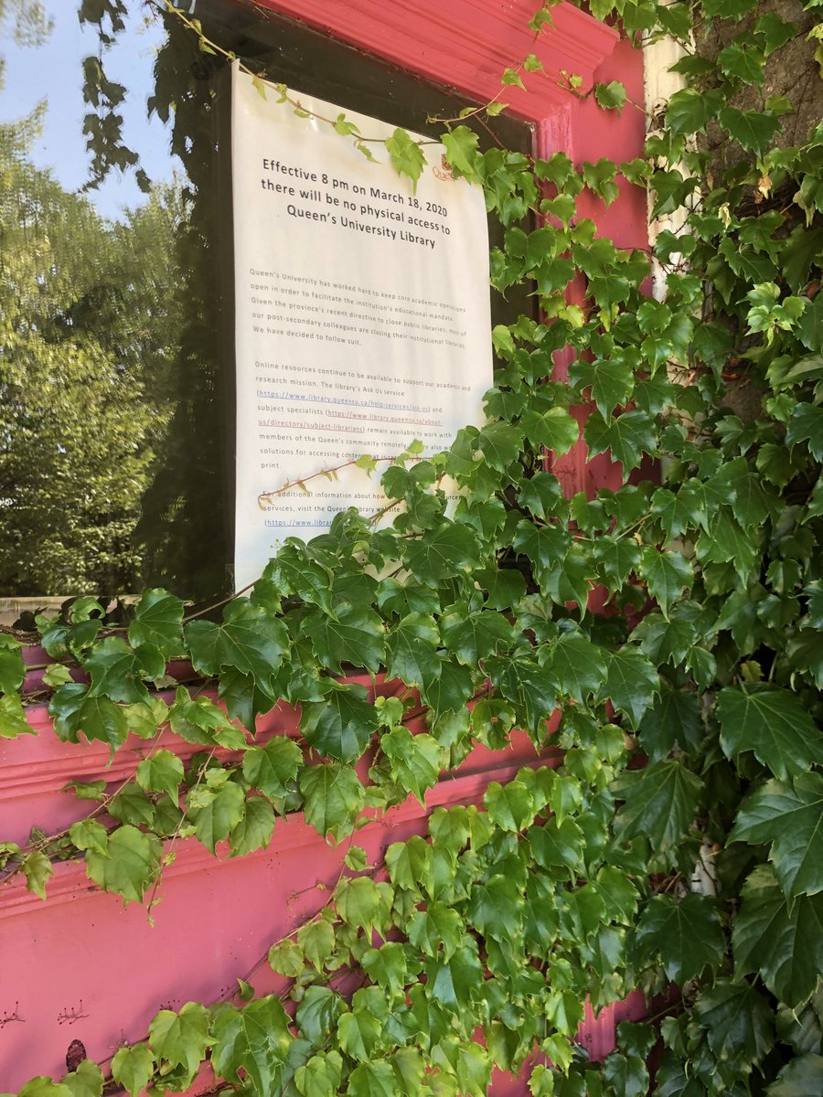 If we don’t get back to work soon we won’t be able to get in! Secret #garden #archives. Might do a wee bit of #pruning.