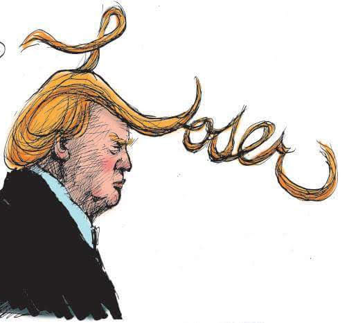 AudreyGarden's tweet photo. @kylegriffin1 And tRump loses again! #TrumpIsLosing https://t.co/ac8jUHmtpn