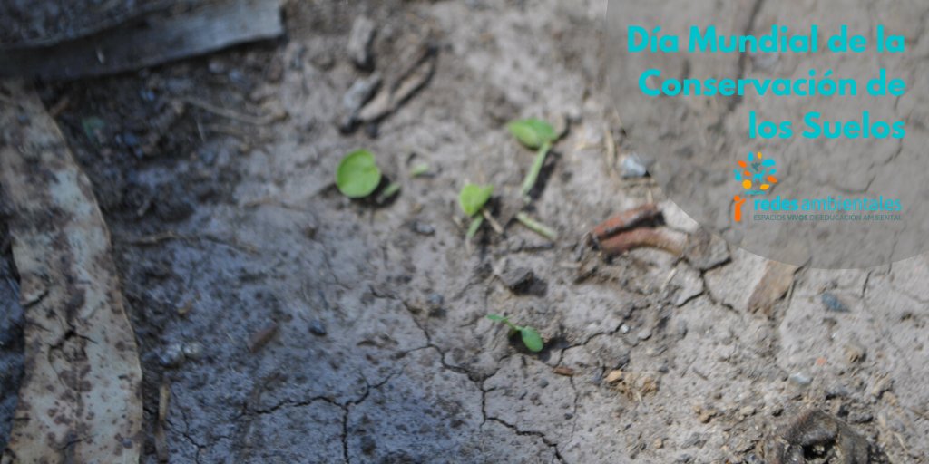 redesambiental's tweet photo. “La tierra productiva es nuestra base, porque cada cosa que nosotros hacemos comienza y se mantiene con la sostenida productividad de nuestras tierras agrícolas”.
Hugh Hammond Bennett.

- Día Mundial de la Conservación de los Suelos - https://t.co/hGKkDPcfw0