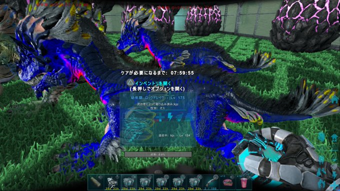 50 Ark ロックドレイク 孵化施設