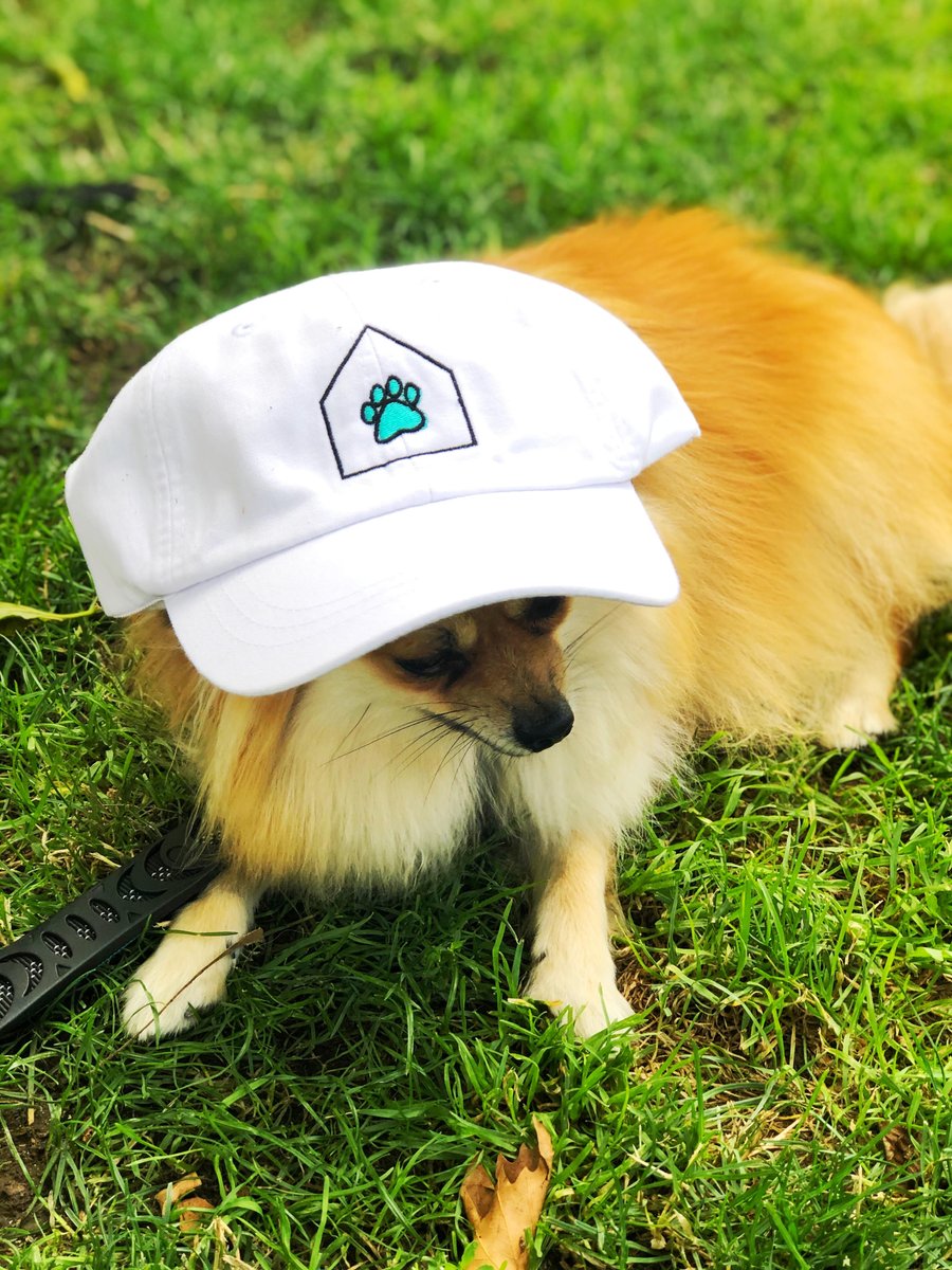 CuddlyBoutique's tweet photo. No better way to top off a fire 'fit than with our Cuddly Cottage "House Paw" Cap! 🧢 Rep your favorite petcare company with this paw-some cap! 🐾 Get yours today: https://t.co/2AyCT9FO1M
#thecuddlyboutique #thecuddlycottage #cuddly #paw #dogtoy #hobokendogs #dogsofhoboken https://t.co/bHuSbaYUPQ