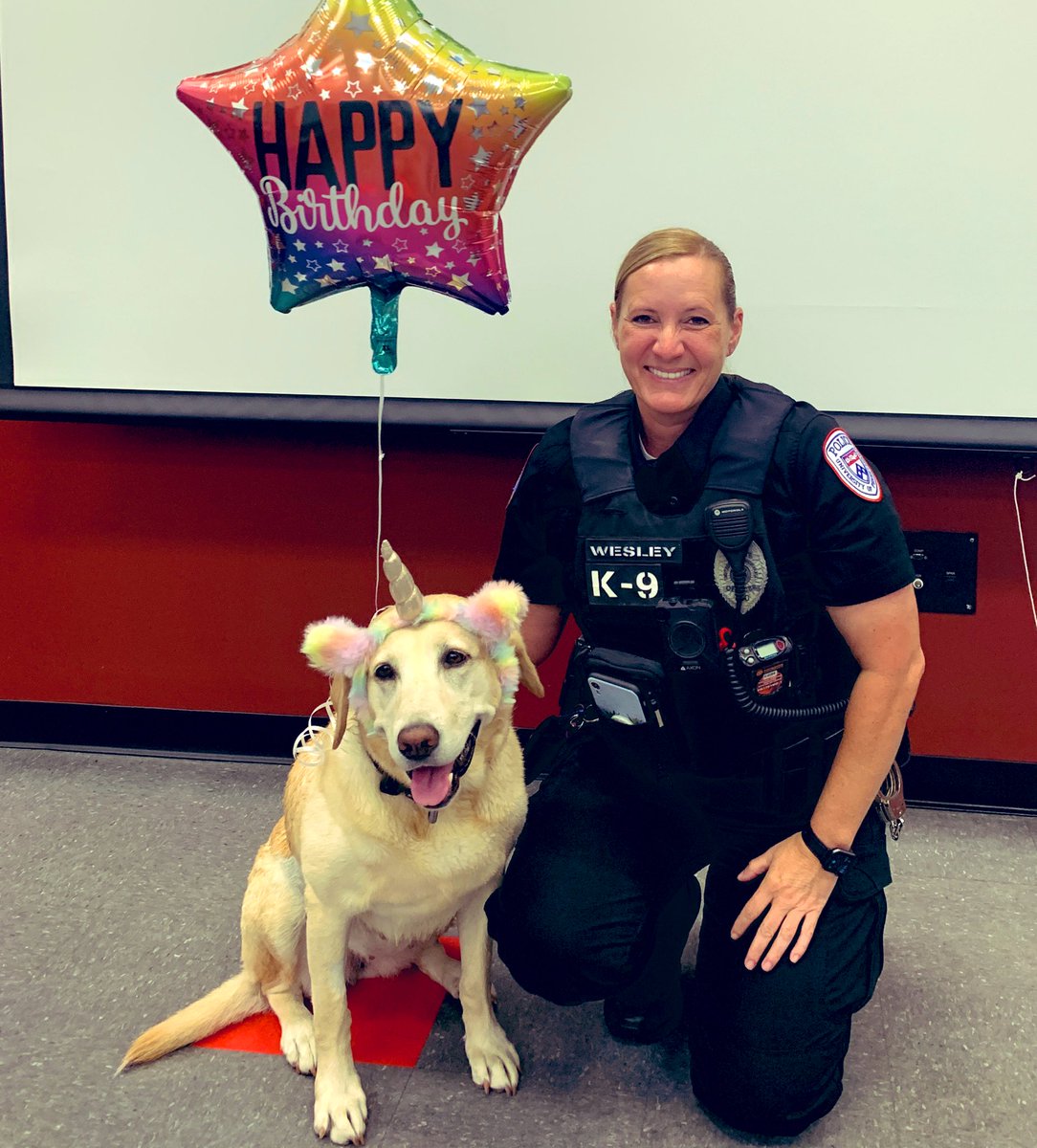 I’m celebrating my 8th birthday today! It will be a fun-filled day of sniffing, tennis balls, and dog pool time! #workingdogbirthday