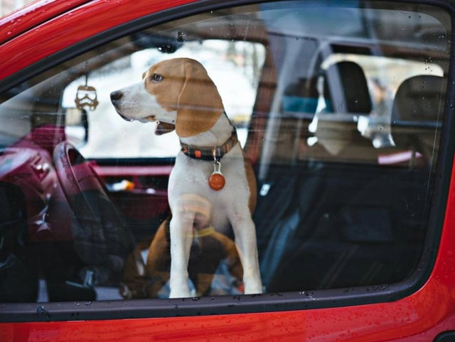 Heat warnings are becoming a daily occurrence in southern Ontario! We would like to remind everyone NOT to leave children or pets in a vehicle no matter the circumstance! It is extremely dangerous to do so! #Summer #Vehicle #HeatWarning #Safety