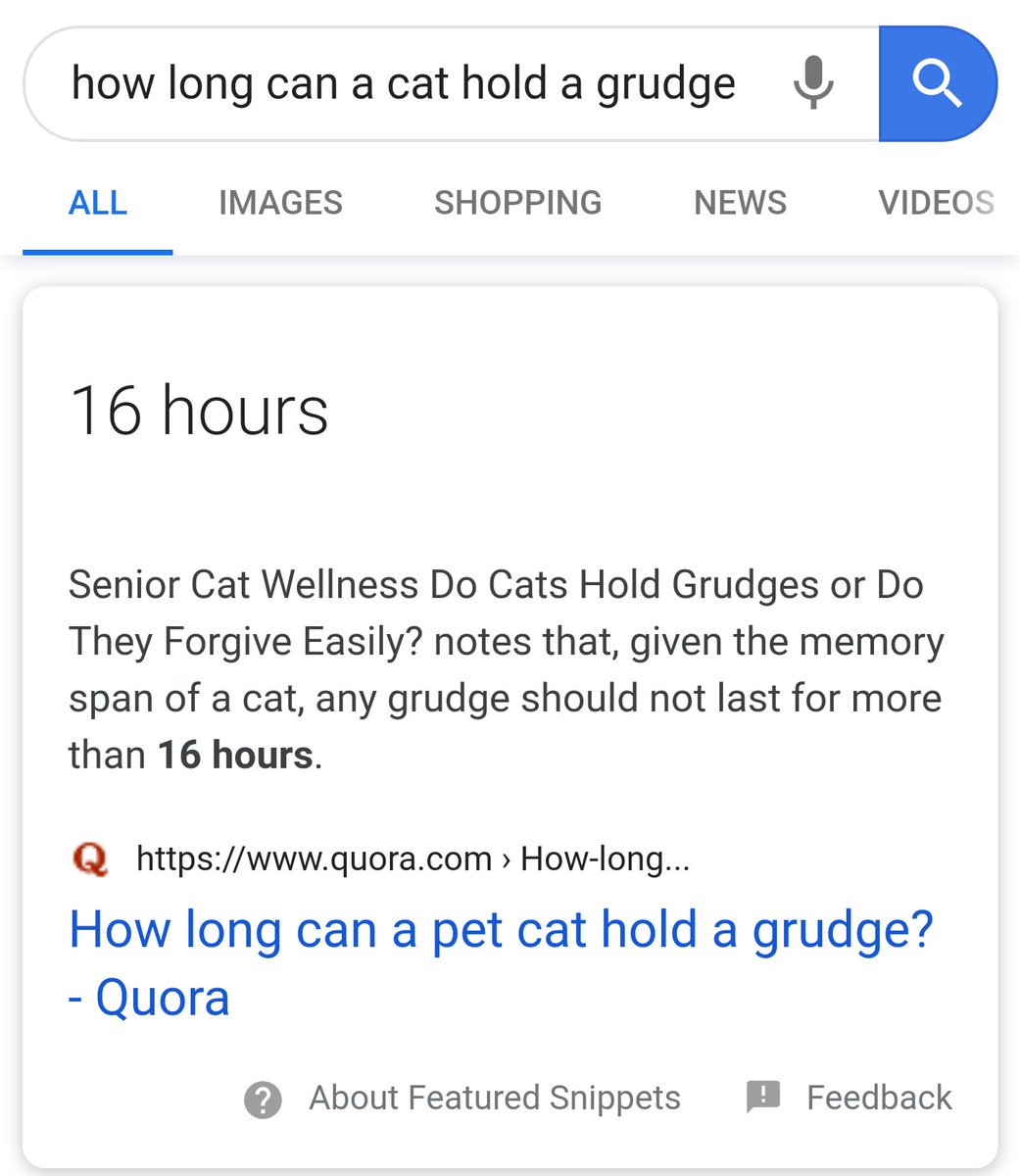 i suppose youve never met catra..?