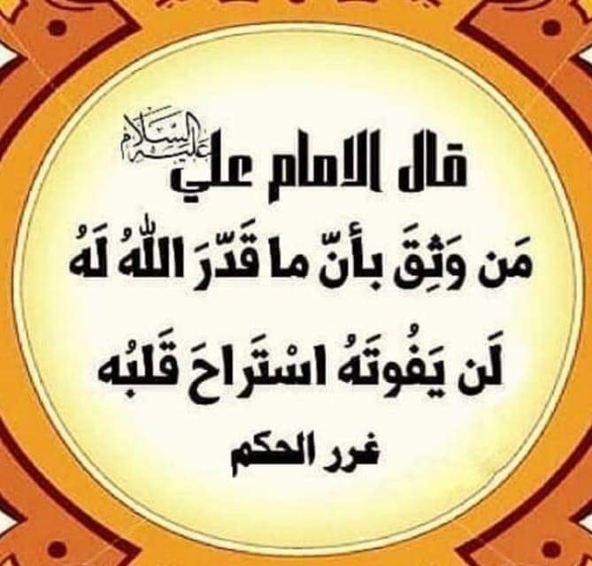 afouadelsayed tweet picture