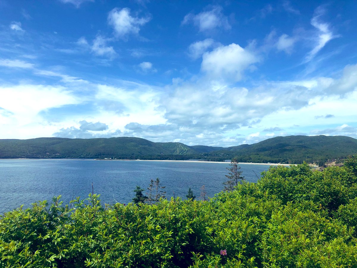 Allison_CBU's tweet photo. Here are few highlights from our CB #staycation & maybe a reminder of why studying and working at @cbuniversity is an adventure-seekers dream come true!
I hope you’re all having a fantastic summer & finding joy in the simple things☀️ #alwaysorange #caperpride https://t.co/vc07A8T7Re
