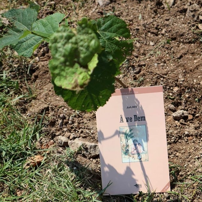 boykitap's tweet photo. "Edebiyat Nefes Oluyor"

Çıkardığımız her kitap için bir ağacı doğayla buluşturuyoruz. https://t.co/3Jeafx4NH7