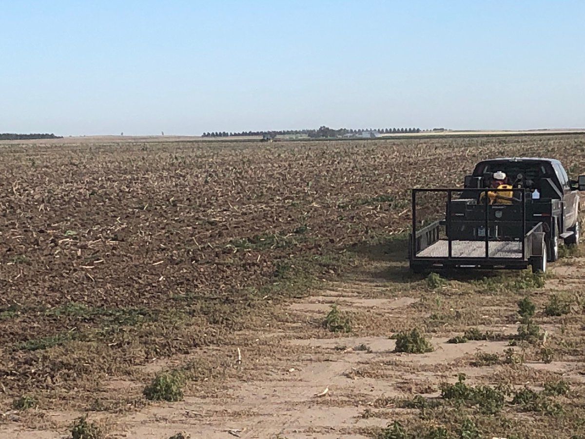 KernelKramer's tweet photo. The year is 2020 and @Jlivingstonag is working fallow with no autoguide!!   #nothandsfree #howdoyoutwitter  
#howdoyoueatlunch https://t.co/3vkcJbK9lX