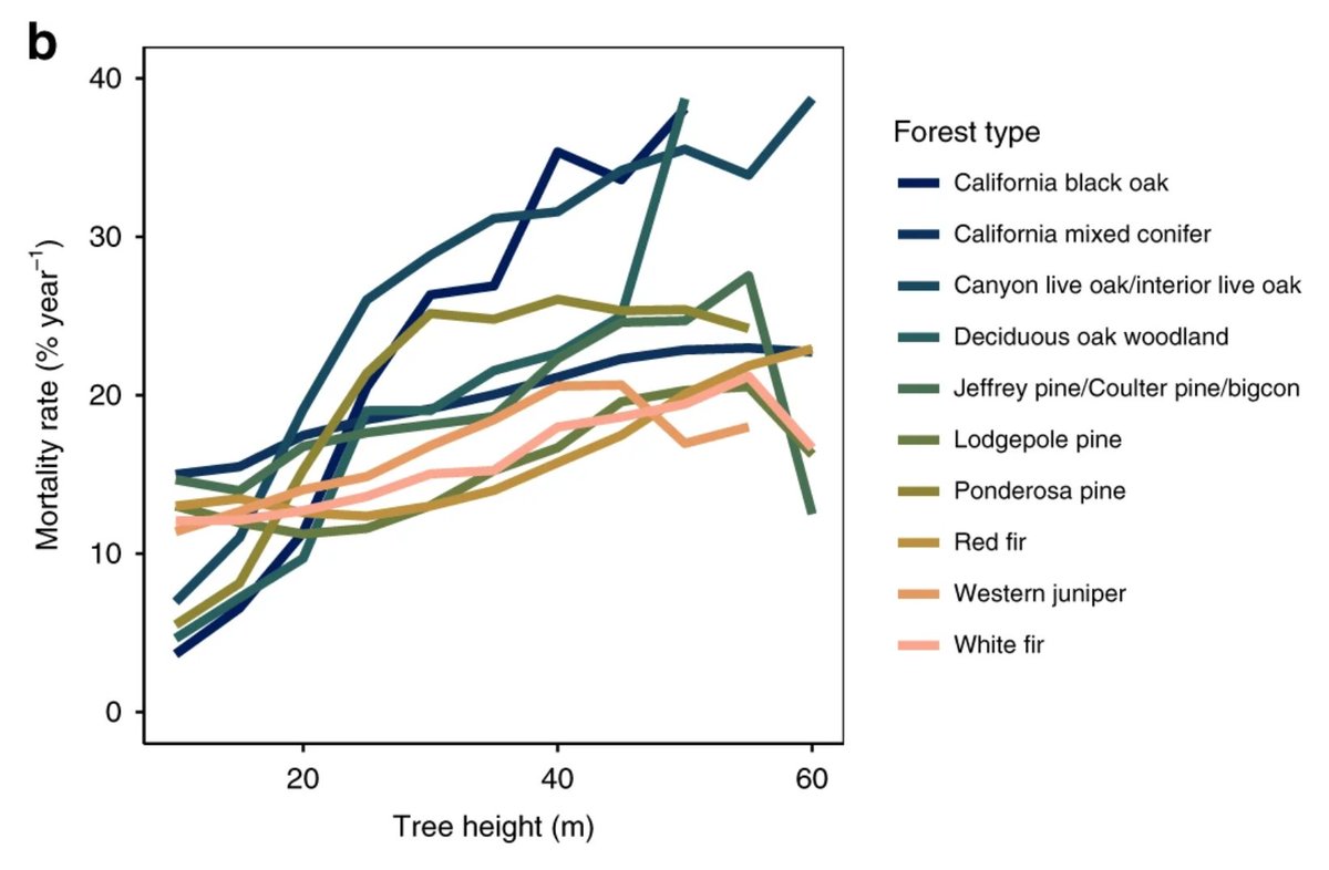 WE FOUND: STRONG mortality-height trend in ALL 10 forest types!6/n