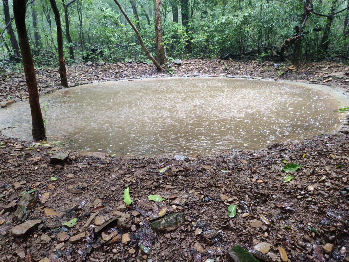 keshavkumarifs's tweet photo. Water need to be slowed down through check dams, stored in ponds, natural or man made for taking benefits from bountiful monsoon of Goa for better ground recharge. #goabeyondbeaches, #goaforests, @ParveenKaswan, @RandeepHooda https://t.co/1Su8HdysCz