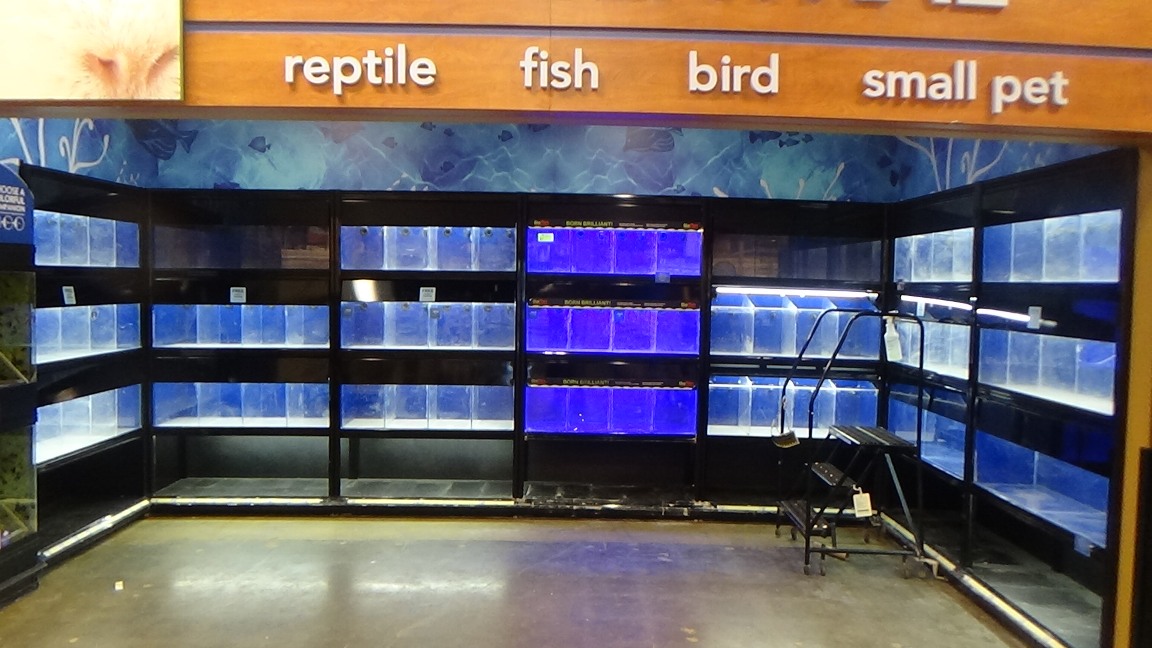 LiquidAssetPart's tweet photo. Pet Store Online Auction in Meriden, CT ends July 16 @ 10am EST!
Pet Kennels, Service Counters, Vet Equipment &amp; more!
View Online Auction: https://t.co/9Pqc9vw1eX
#onlineauctions https://t.co/Dr2COLSjx2