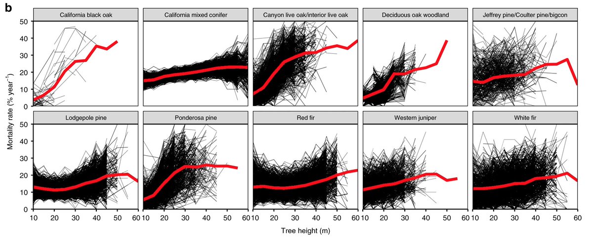 Mortality rate estimates from plot-based methods can vary by more than 50%!!!Variability is mainly coming from: 1) plot placement2) not enough large tree observations9/n