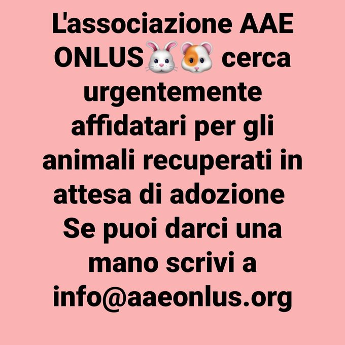 Luca e Onlus Cerca Affidatari Per Stallo Di Animali In Attesa Di Adozione Soprattutto Nei Mesi Estivi Anche Brevi Periodi Se Vuoi Dare Una Mano Scrivi Subito A Info eonlus Org