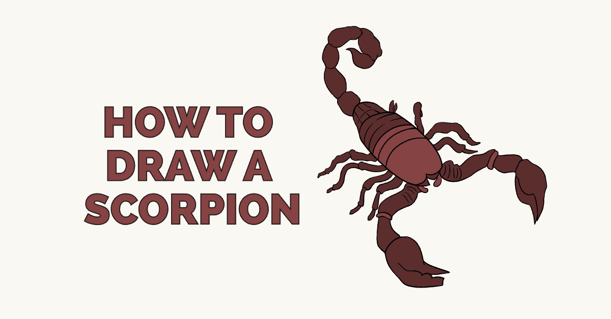 Scorpion Drawing  How To Draw A Scorpion Step By Step