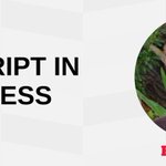 Photo by JavaScript for WordPress (@jsforwp)