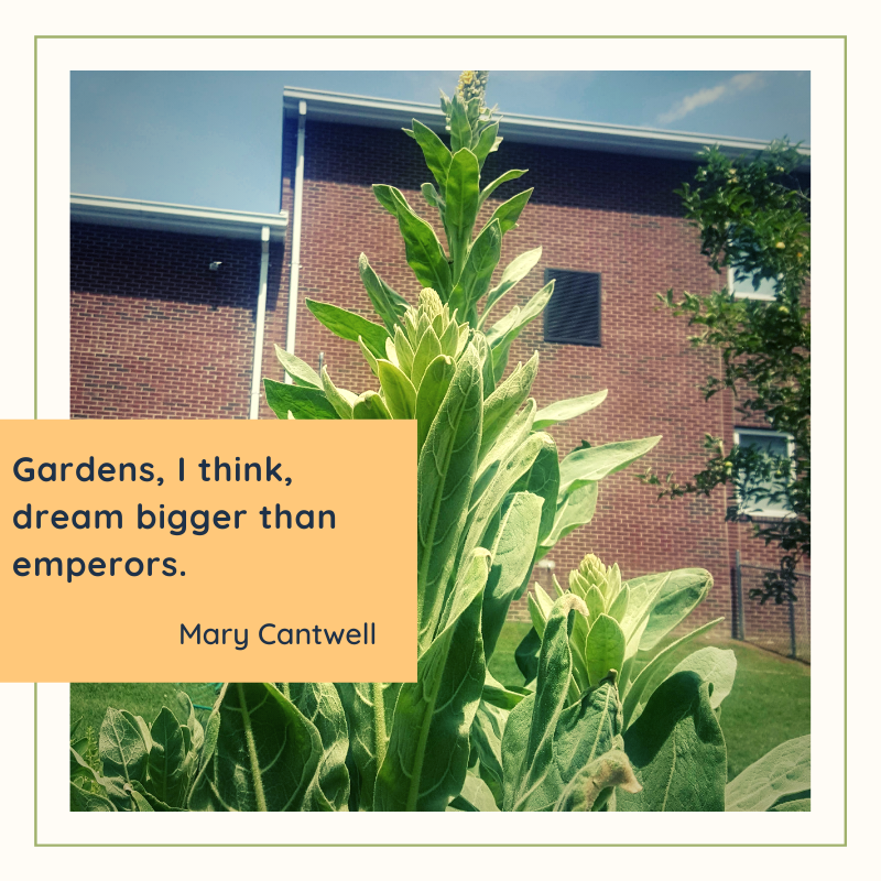 It can be a powerful thing - to foster a dream in the midst of uncertainty. Keep dreaming, friends. 

#overcoming #bigdreams