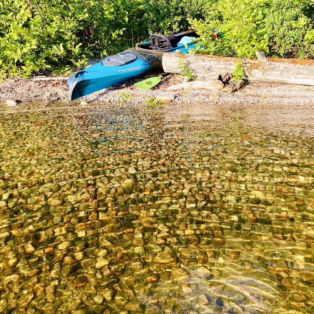 marykkeown's tweet photo. What a beautiful park. #WakamiLakePP is splendid, with #waterfront sites, exceedingly clear water and lots of spots to #explore. Many nods to its #logging past, with #SunkenLogs and a #DeadTree #cemetery. It was heavenly. #SoloCamping #KayakCamping #backcountry @OntarioParks https://t.co/Pun4KJYOSe