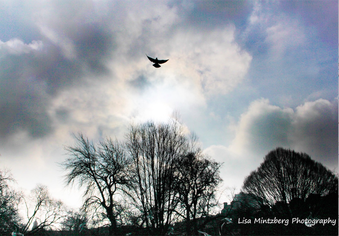 Mintzberg141's tweet image. L’optimisme n’est pas une stratégie. mintzberg.org/blog/prendre-l…
#solution #résolutionproblème #leadership #management #alternative #stopcovid #santé #transmission #atmosphère