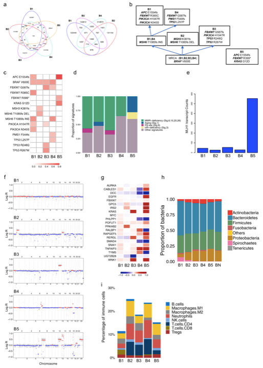 ensembl's tweet photo. #Genomic and #transcriptomic analysis of tumour development in synchronous #colorectalcancer patients reveals the importance of #personalisedmedicine
#UsingEnsembl #UsingVEP

@Nature_NPJ @TheCancerGenome @valentinajnt
https://t.co/m8fdYEzUcJ https://t.co/gYa7CuIZ1u