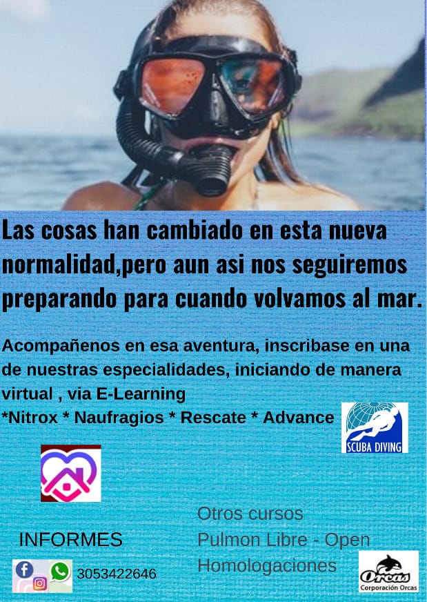 ClubOrcas's tweet photo. Los esperamos, vamos realizando el modulo teórico, cuando las circunstancias lo permitan, iremos a practicas en el agua. https://t.co/6yy2tJKzzr
