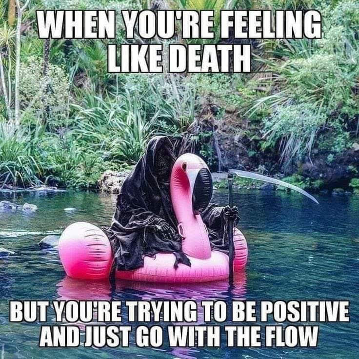 itsst0rmbitch's tweet photo. Really bad nausea day. It's like my nausea switched to beast mode. I must push through though. #spoonie #nauseous #fucknausea #feelinglikedeath https://t.co/0qyIStmHIQ