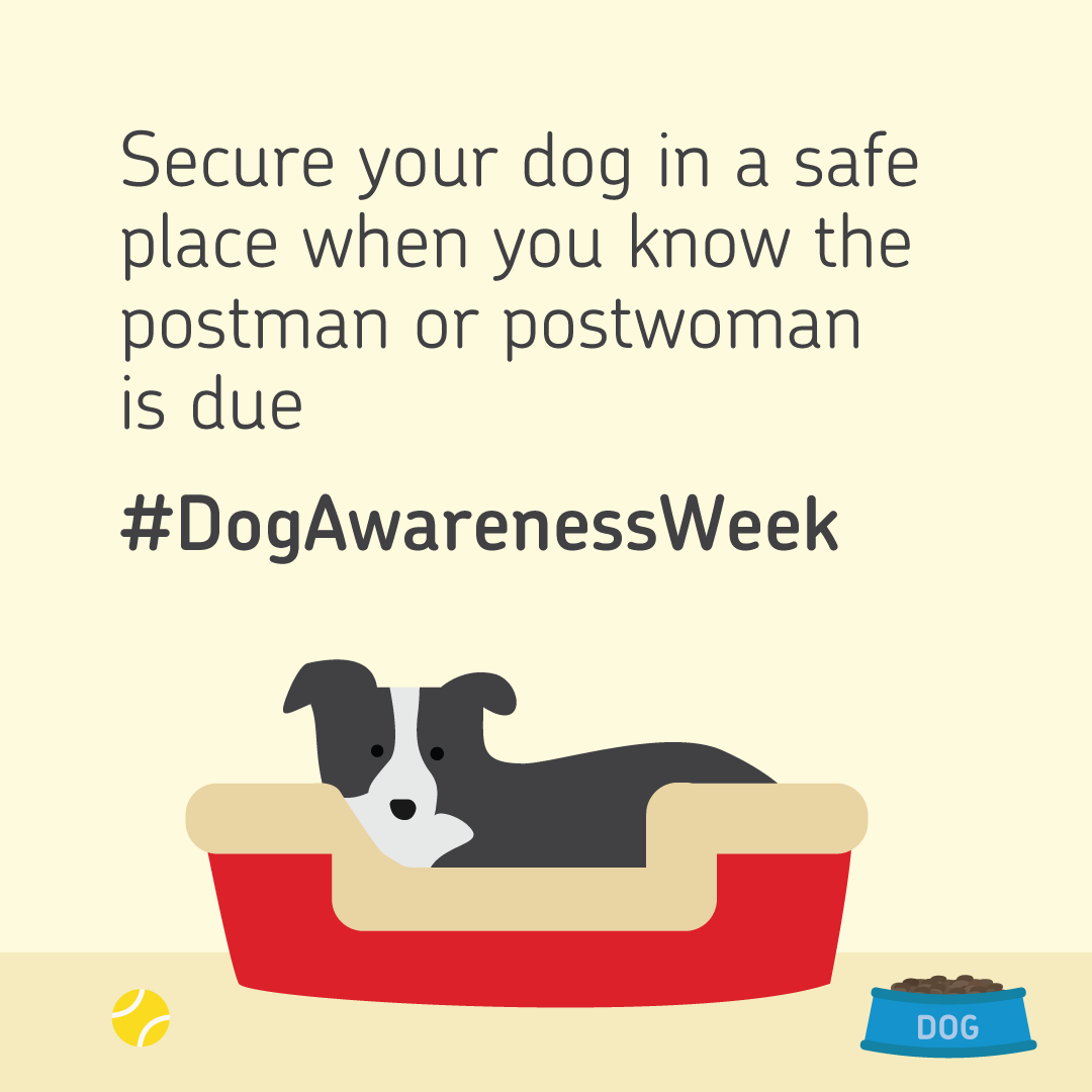 RoyalMail's tweet photo. There have been 2,445 dog attacks on postal workers in the last year. Help us reduce this number – be a responsible dog owner.

Visit https://t.co/mLpBHr6VRO for more information, advice and tips.

#DogAwarensssWeek https://t.co/HXjL4ct8yb