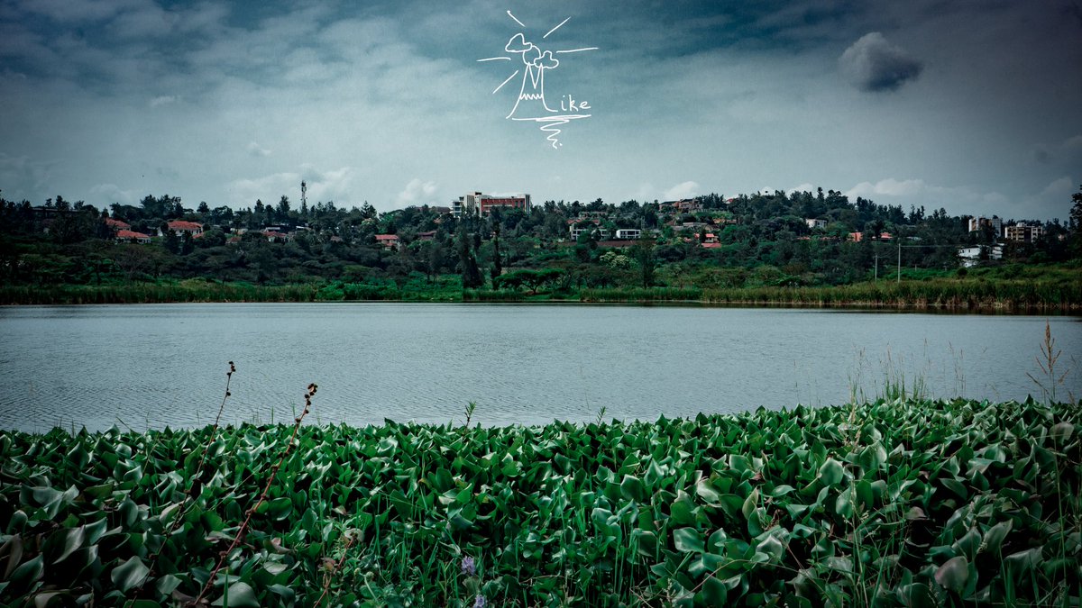 mike_mutabazi's tweet photo. #RwOT #Rwanda #Kigali #TemberaKigali #VisitRwanda
Artificial lake near #KigaliGolfCourse
So many places to explore in our beautiful Kigali.
@image_rw @visitrwanda_now @Beautyofkigali https://t.co/m8YzhVVTkk