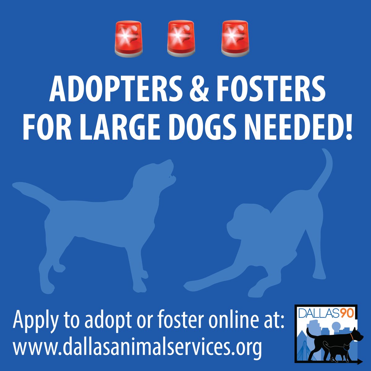 DallasShelter's tweet photo. π¨ADOPTERS & FOSTERS NEEDED!π¨ If you've been thinking about adopting or fostering from DAS, now is the time! Our large and medium sized adoption kennels are filling up. For more info on fostering & adopting, please visit https://t.co/4tPgHSNvbE.
#SaveLivesWhileSocialDistancing https://t.co/0qbuU8HQJE