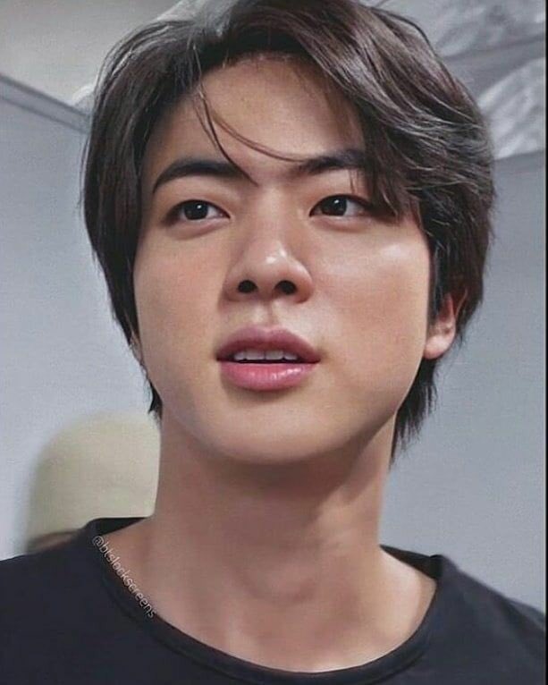 Seokjin being the most beautiful & attractive person — a thread