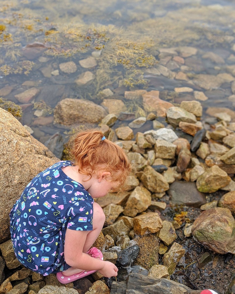 When was the last time you say by the #sea &amp; just watched the periwinkles, seaweed, rocks &amp; all the ocean has to offer? 🤔🌊 Spend some time on the shore today- we bet you'll love what you discover ♥️🧭 #oakislandresort