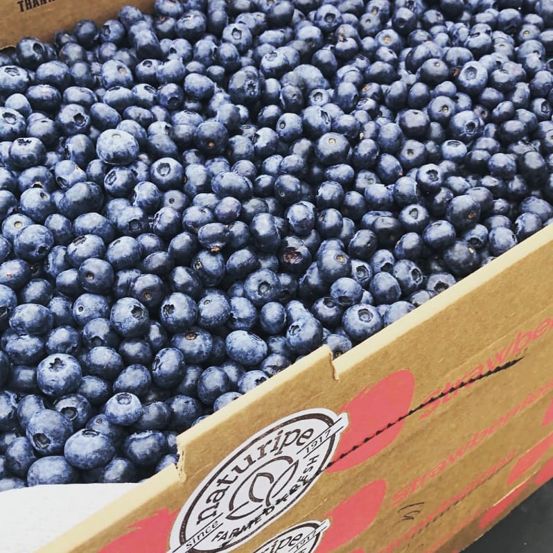 Rider_Eats's tweet photo. Thank you to our friends from Living In Love Food Pantry Garden at the Holy Trinity Lutheran Church in Princeton for their generous donation of fresh #blueberries to our #MealsOnWheels family 🤗 

#EatFresh #ShopLocal #SupportYourLocalFarm https://t.co/c87Phrlclu