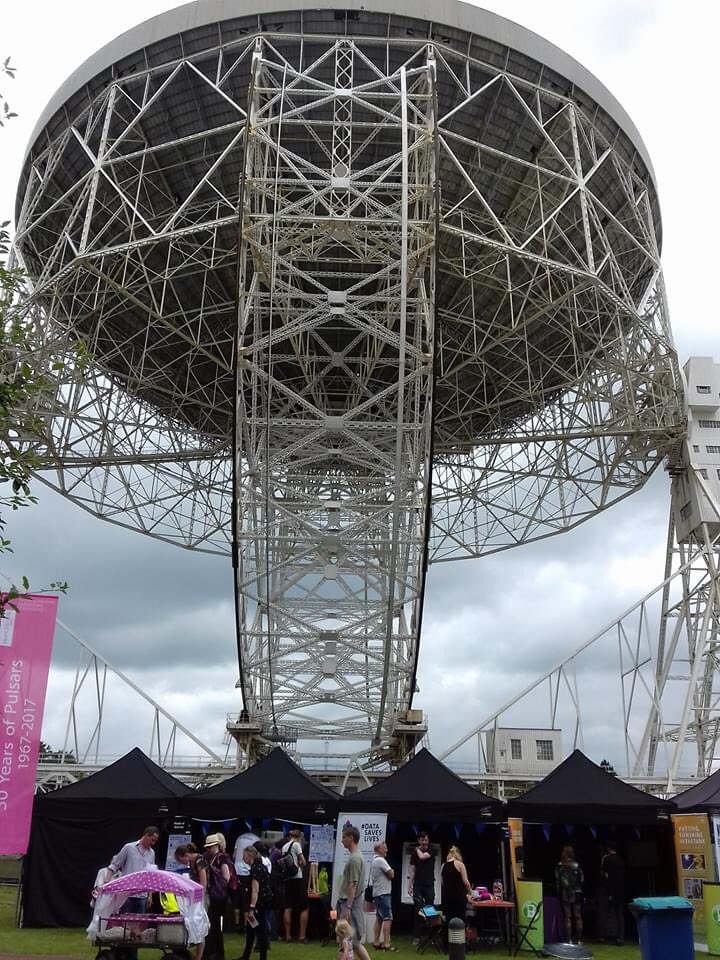 Polly Greensmith tweet media