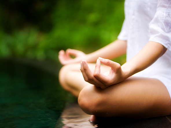 Nature Wellness Classes In The Gardens is Here! Exhale…. 
Meditation, Yoga,  Reflexology for Partners or Besties, Reiki Level One
Learn more visit Page whistlinggardens.ca/natures-wellne… #wellness #naturelover #yoga #meditation #reiki #reflexology #botanical #gardens