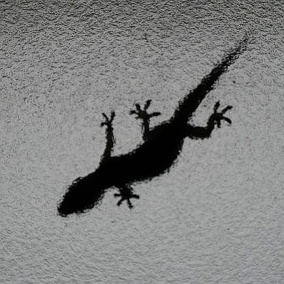 名取宏 なとろむ 裏ヤモリ