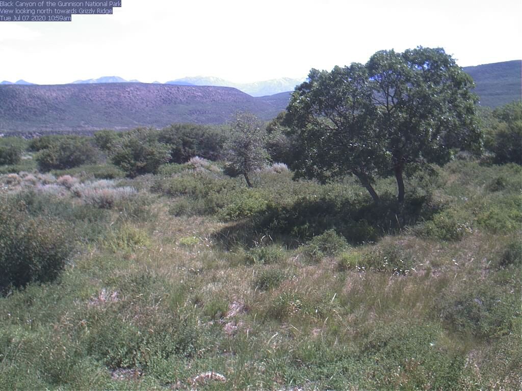 wild_mall's tweet image. #TuesdayTango Creator God, in Jesus&apos; #TruthToPower name, You prepare us to battle for justice &amp;amp; grant us strength. You have given us Your salvation as our shield. Your right hand supports us; Your gentleness has made us confident. From Psalm 18.