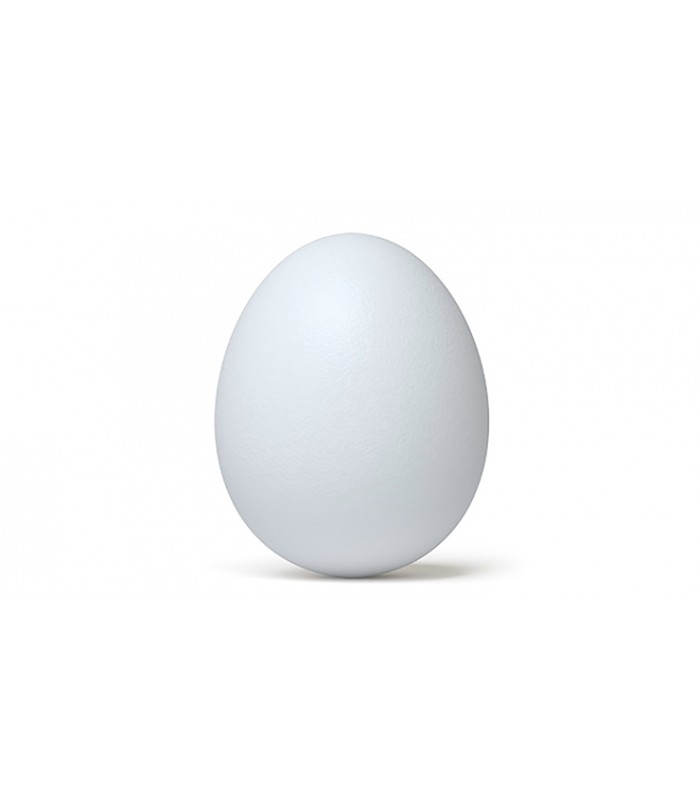 Ahhstinn's tweet photo. can ya'll watch my egg i'll brb https://t.co/8hTf2xYJNS