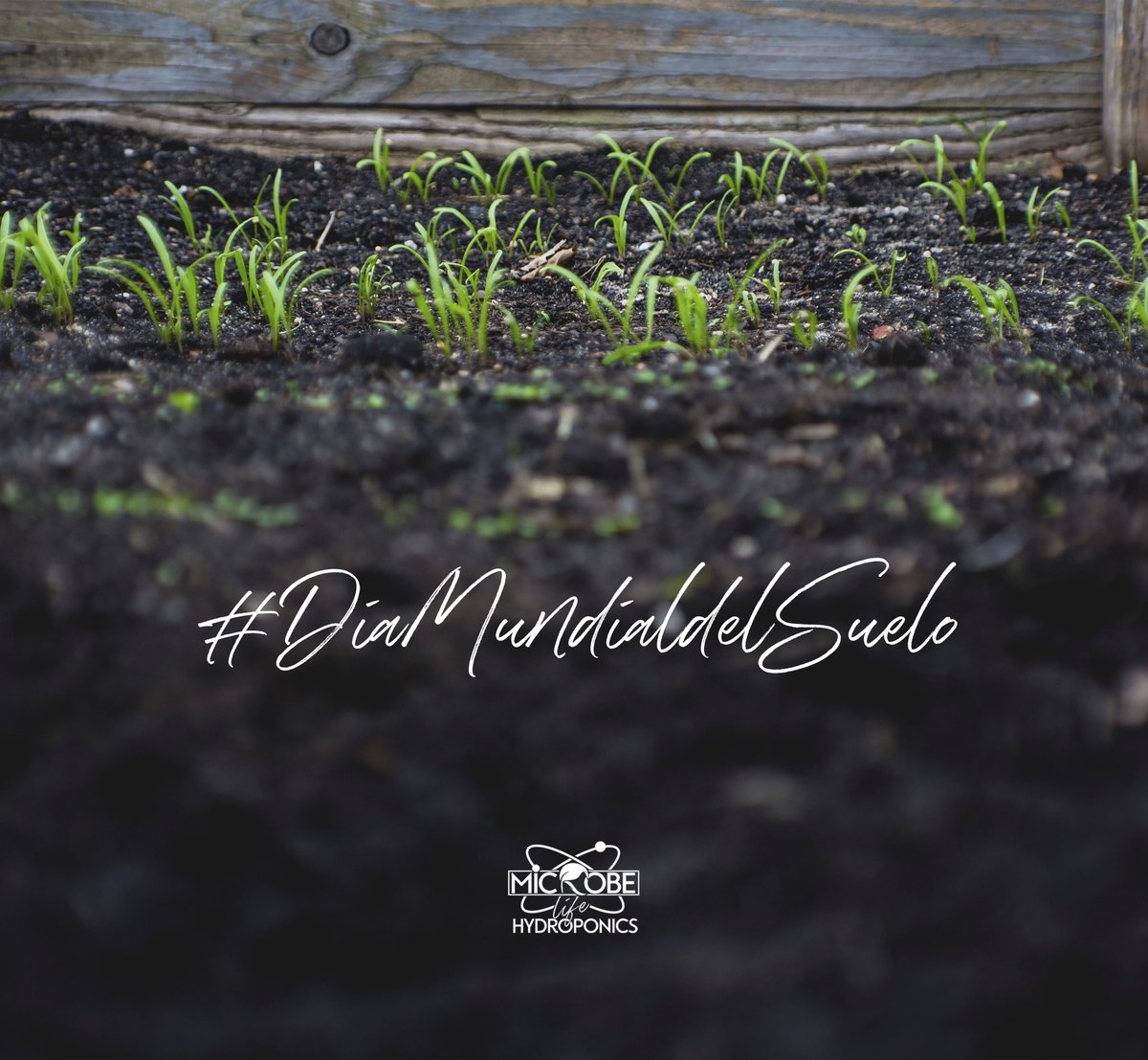 MicrobeLifeES's tweet photo. Feliz #diamundialdelaconservaciondelsuelo #ConservacionDelSuelo . Hoy más que nunca nuestros productos https://t.co/shxNemu3l9, como #rootdip imprescindibles para la bioremediación. #soil #growers https://t.co/5m1Q9sJB1O