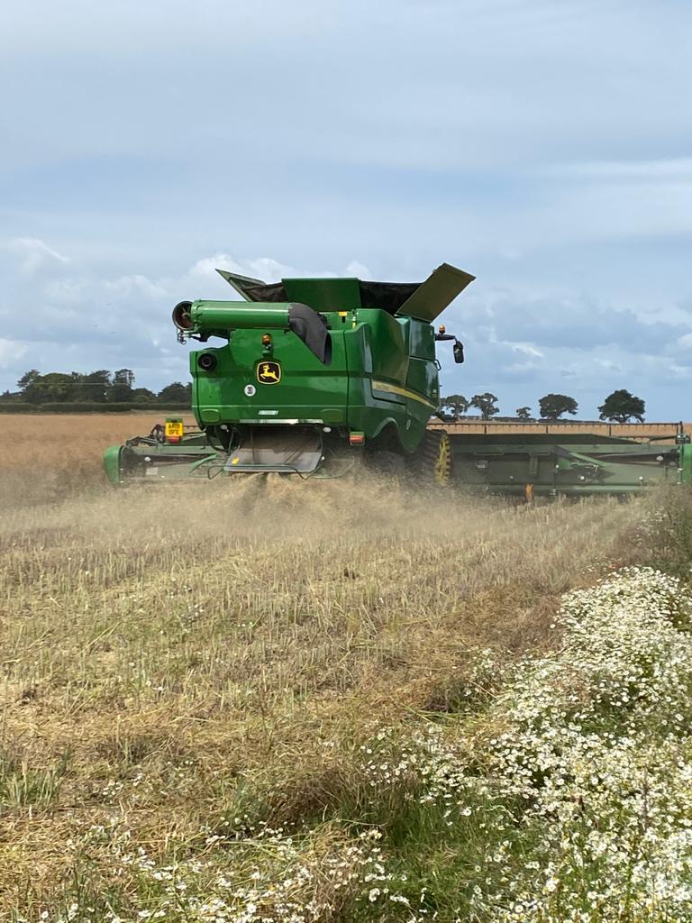 WildKenHill's tweet photo. #harvest2020 begins. OSR @WildKenHill this morning. No insecticide, herbicide or fungicide applied, plus ~30% less fertiliser than in a regular crop. A very light cultivation (1 inch), cover crops, and directly-drilled wheat to follow in this rotation. #regenerativeagriculture https://t.co/SFg8ZTyDyi
