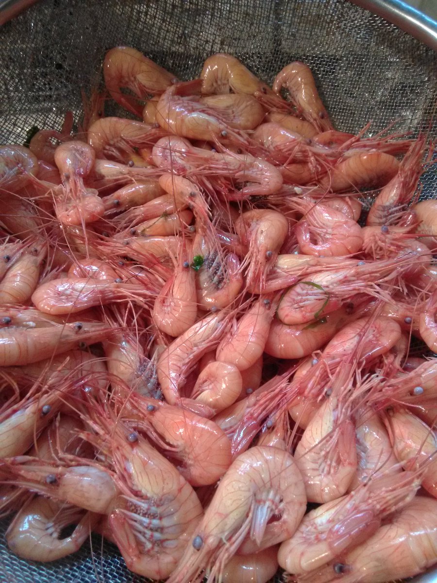 #freefood <a href="/martinhesp/">Martin Hesp</a> <a href="/MattPickett83/">Matthew</a> <a href="/johnhughes37jo1/">John Hughes</a>  that's dinner sorted and it's going to be messy!