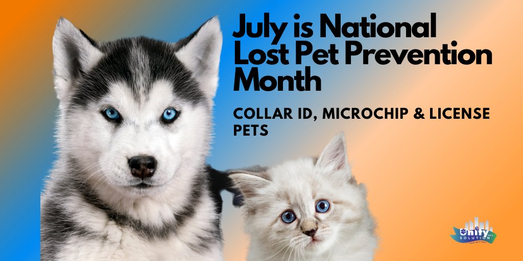 Unity4aSolution's tweet photo. What would you do if your pet got lost? Accidents happen and unfortunately our fur babies can't tell us where home is. Collar ID, microchip & license pets to help them get home safely.
#NationalLostPetPreventionMonth #microchip #unity4solutions #Houston #petsoftwitter https://t.co/KigAArU9Ol