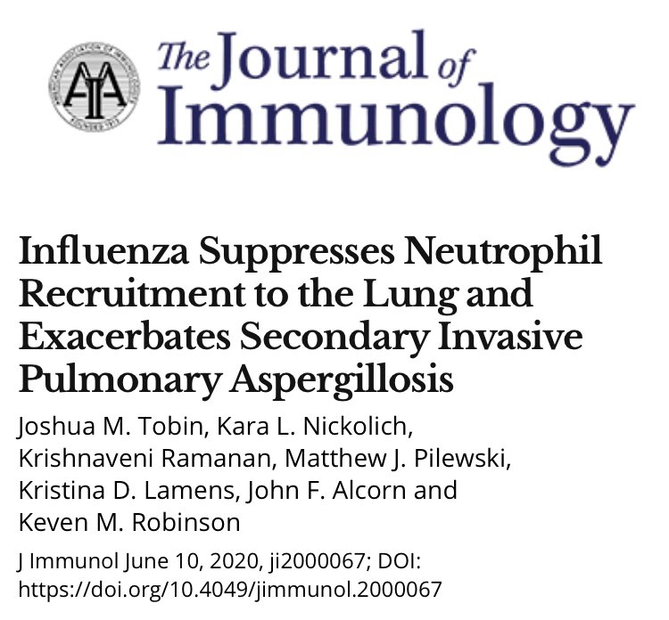 Alcorn Lab (@alcornlab) on Twitter photo Check out <a href="/KevenRobinson6/">Keven Robinson</a> ‘s latest publication in <a href="/J_Immunol/">The Journal of Immunology</a> “Influenza Suppresses Neutrophil Recruitment to the Lung and Exacerbates Secondary Invasive Pulmonary Aspergillosis” Way to go Keven! Check out <a href="/KevenRobinson6/">Keven Robinson</a> ‘s latest publication in <a href="/J_Immunol/">The Journal of Immunology</a> “Influenza Suppresses Neutrophil Recruitment to the Lung and Exacerbates Secondary Invasive Pulmonary Aspergillosis” Way to go Keven!