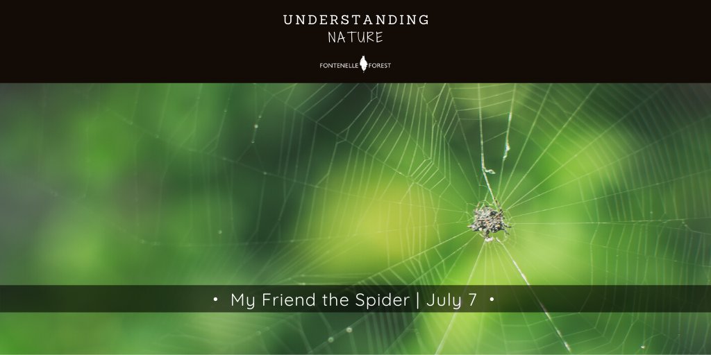 fontenelle4est's tweet photo. If you missed this morning's presentation of "Understanding Nature: My Friend the Spider," you can view it in its entirety on our Facebook page: https://t.co/P5SpvVoFIY
Enjoy! 
#fontenelleforest #understandingnature #spiders https://t.co/wWMVKHa4UM