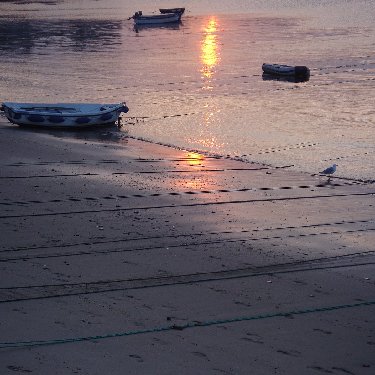 Anna_Dillon's tweet photo. #dailylandscape is a glorious sunset looking over the harbour in Hugh Town, St Mary's on the Isles of Scilly. I'd love to just transport myself there right now. https://t.co/j8EgmcDabj