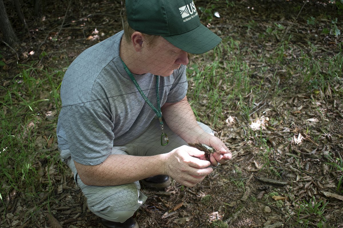 USGS's tweet photo. USGS celebrates 100-year anniversary of #Bird Banding Laboratory and a century of advancing avian #conservation science https://t.co/EPHIZVWJQv #science #environment #habitat https://t.co/GbCuwZqoom