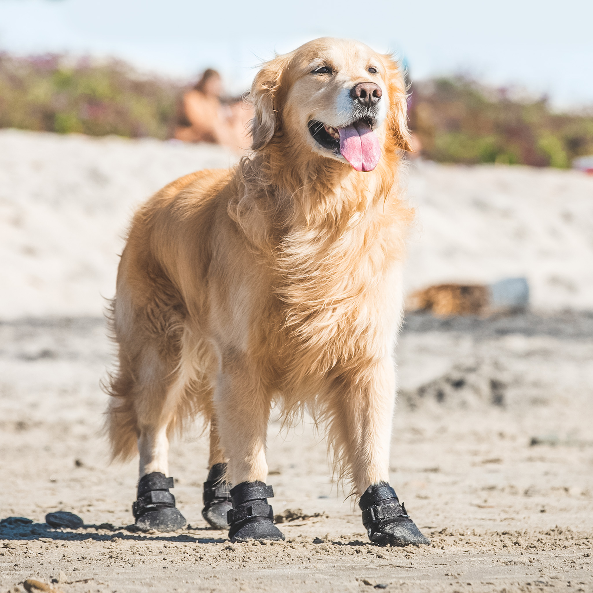 Ultra paws cozy paws traction cheap dog boots