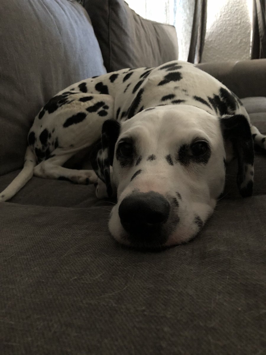 Krawattentrucker tweet media