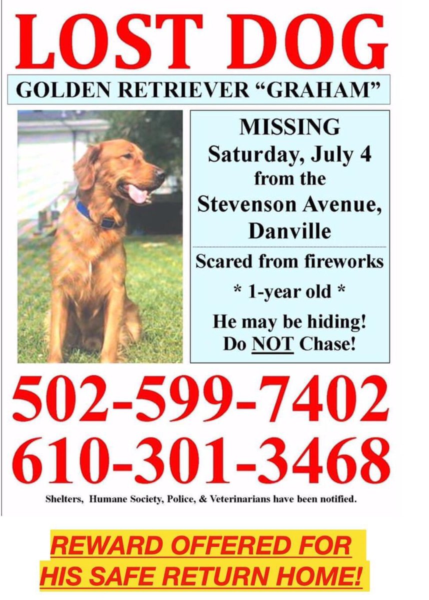 LV_Eventing's tweet photo. Going on Day 3 of missing our pup. I cannot stress how important it is to retweet and share his information. He could be almost anywhere in Kentucky by now if someone hasn’t picked him up. Please continue to share, we want him home!! https://t.co/FYoCiNEy7f