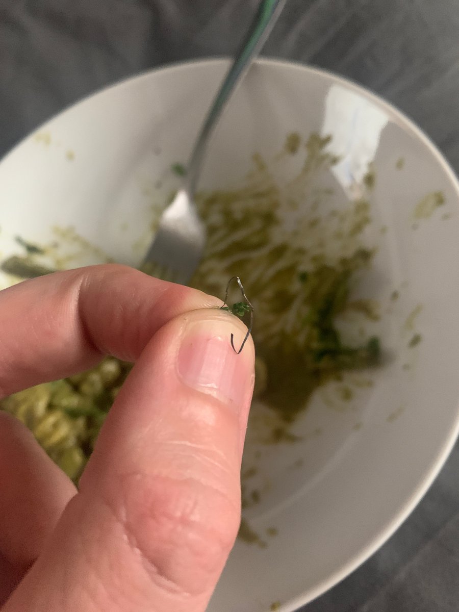 JayMEdwards's tweet photo. @allplants Really dissapointed to have found what looks like a staple / piece of metal in my pesto pasta today ☹️ https://t.co/c5JiNM2vfB